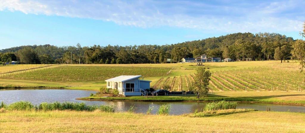 Picturesque vineyard views at the beautiful secluded Lovedale Lakehouse.  